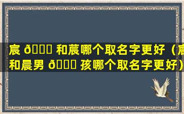 宸 🐅 和莀哪个取名字更好（宸和晨男 💐 孩哪个取名字更好）